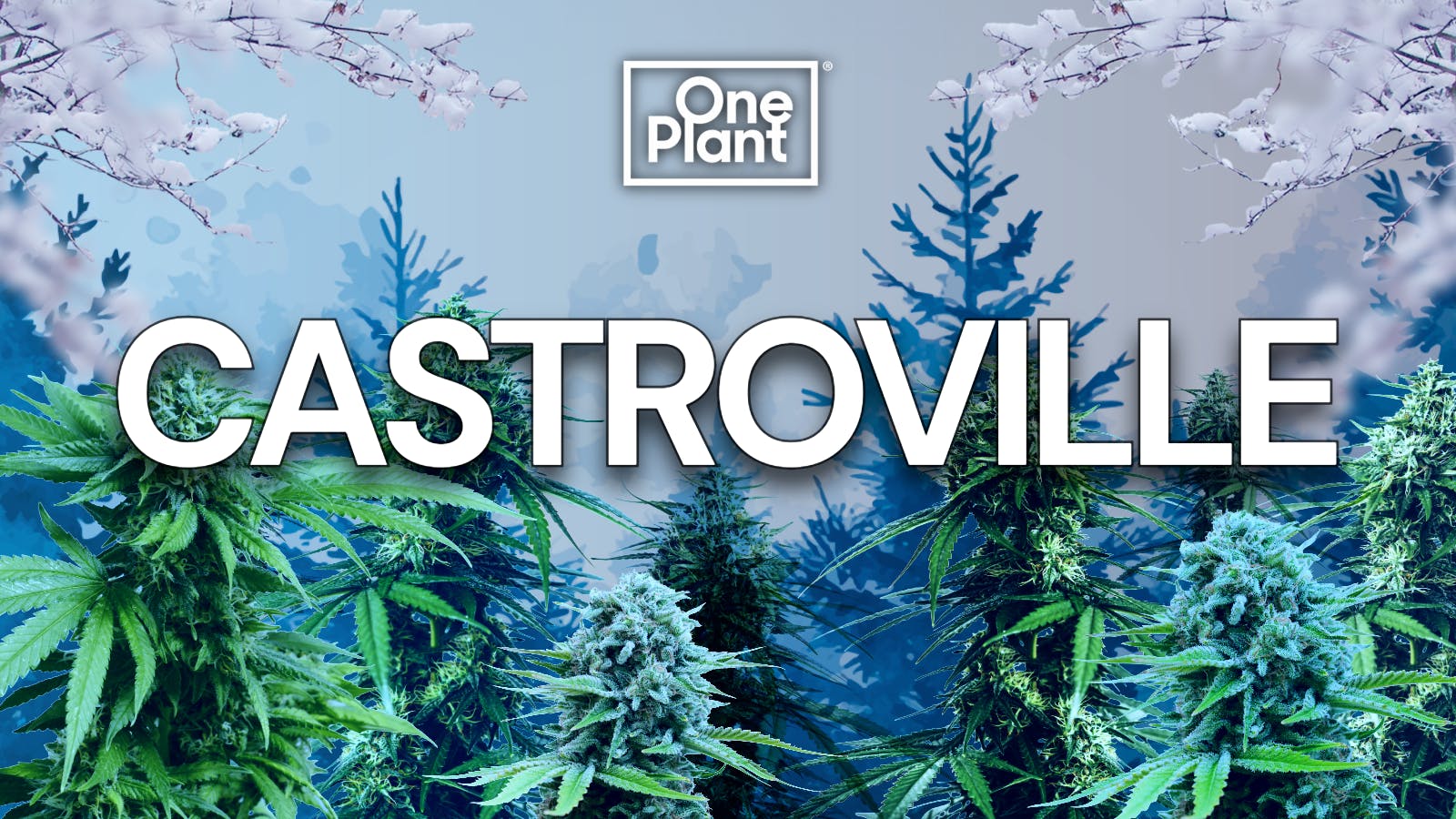 One Plant Castroville listing banner