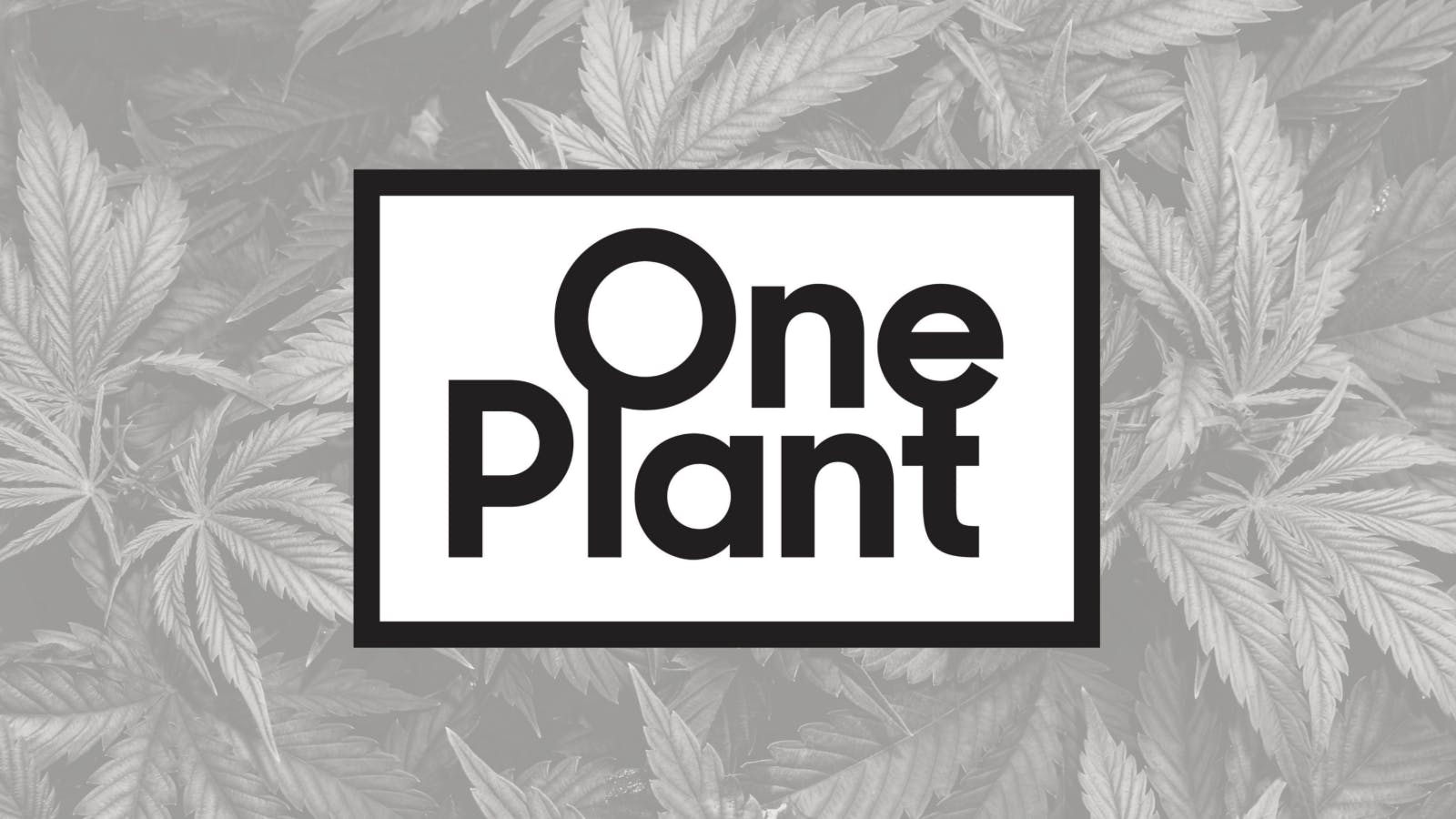 One Plant Castroville listing banner