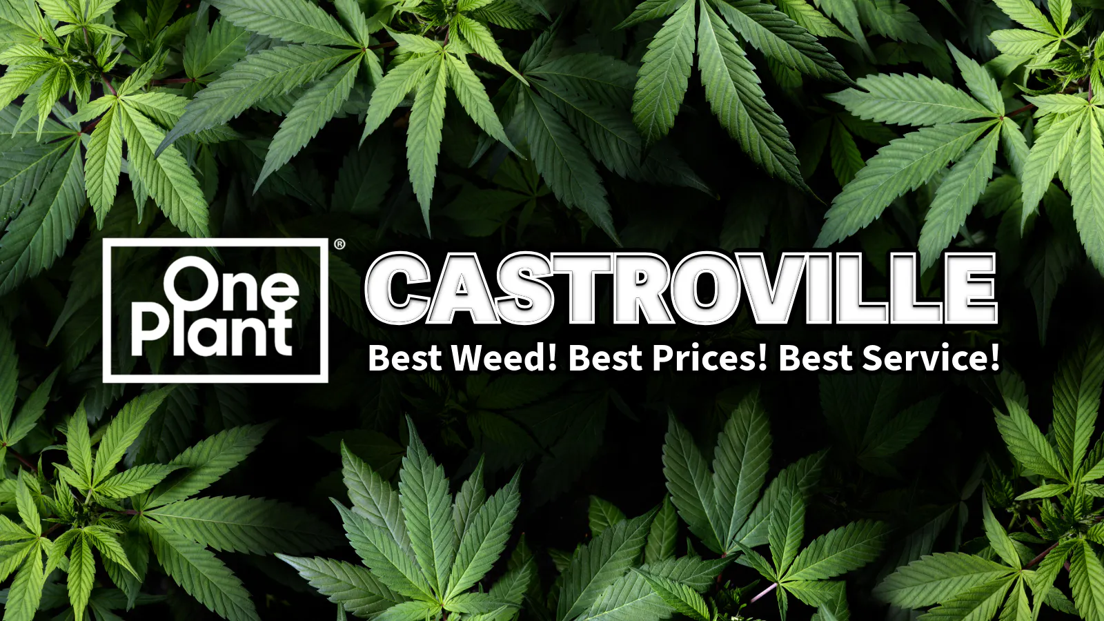 One Plant Castroville listing banner