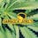 Jamaica Joel's