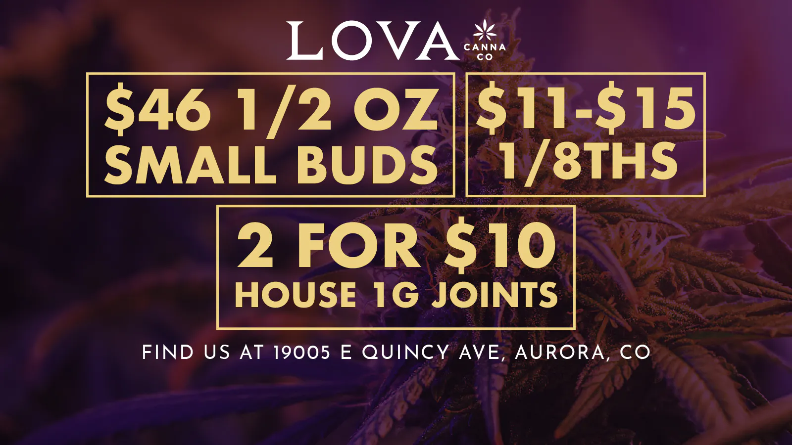 LOVA - Aurora listing banner