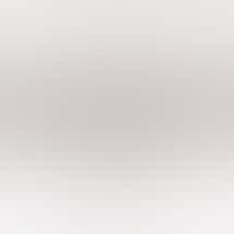 Attis Trading Company - Tillamook