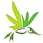Altitude Organic Medicine - Platte Ave