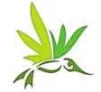 Altitude Organic Medicine - Platte Ave