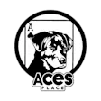 Ace's Place