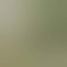 Sweet Jane - Gig Harbor