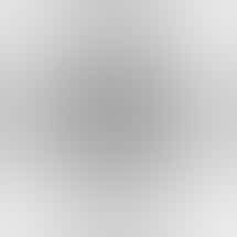 New World Organics - Belfast