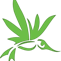 Altitude Organic Cannabis