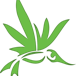 Altitude Organic Cannabis