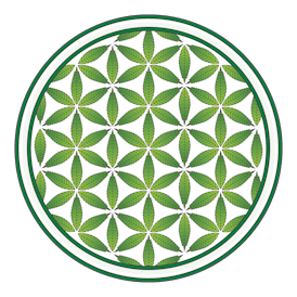 Life Flower Dispensary