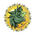 Green Lion - St. Helens