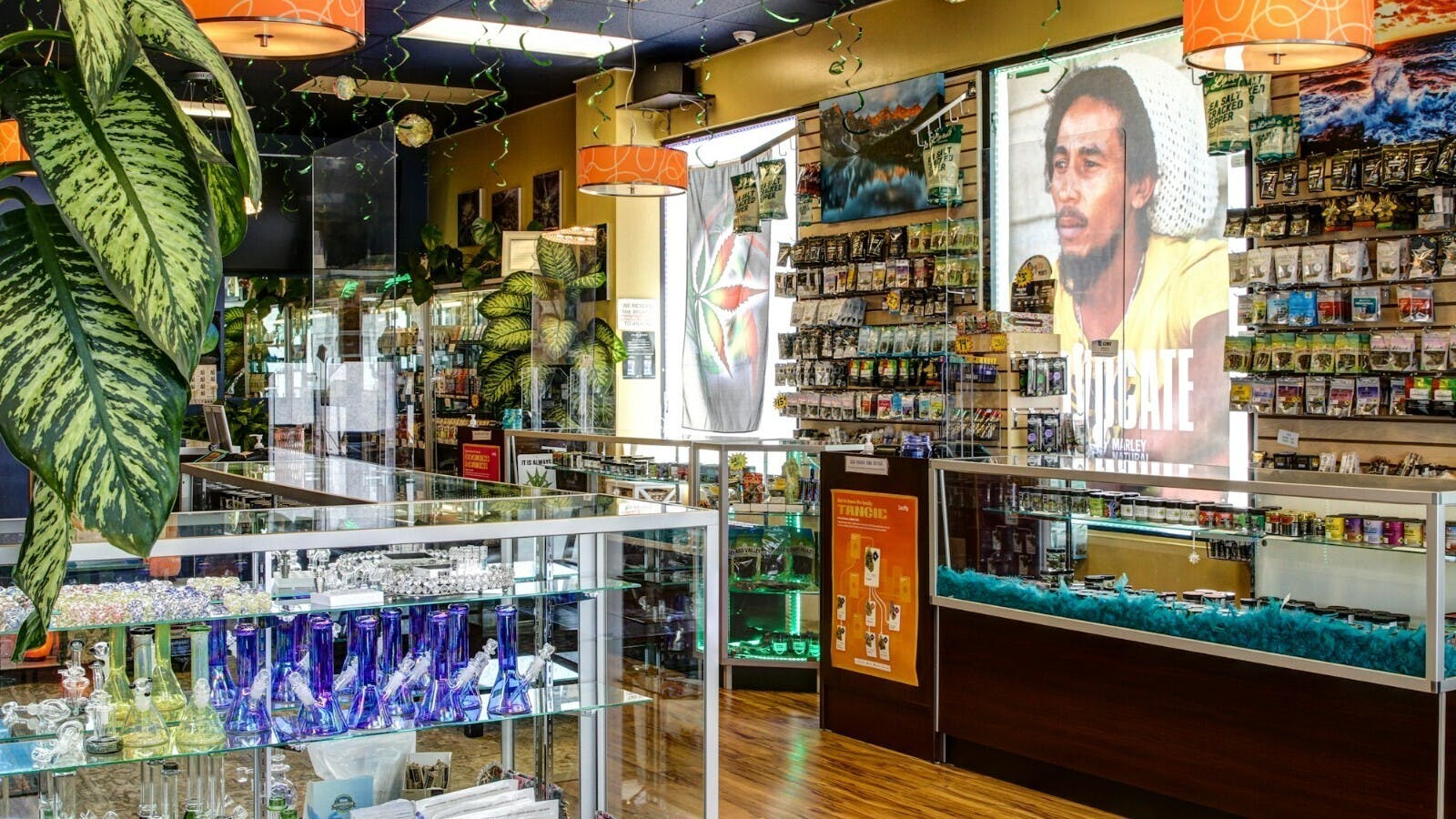 Kush Pointe listing banner