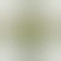 Northwest Cannabis Connection