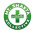 Mt. Shasta Collective