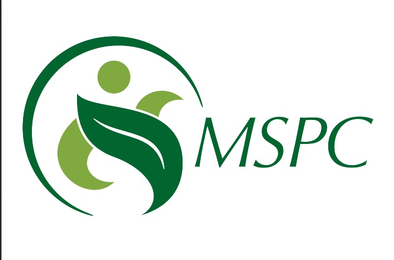Mt. Shasta Collective listing banner