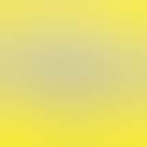 Mr Nice Guy Cannabis Marijuana and Weed dispensary - Santa Ana Dyer