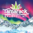 Tamarack Cannabis - Kalispell