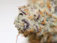 Three Rivers Dispensary - REC