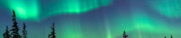 Northern Lights Indoor Gardens listing banner