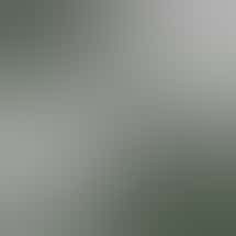 Bud Bros. - Cave Junction