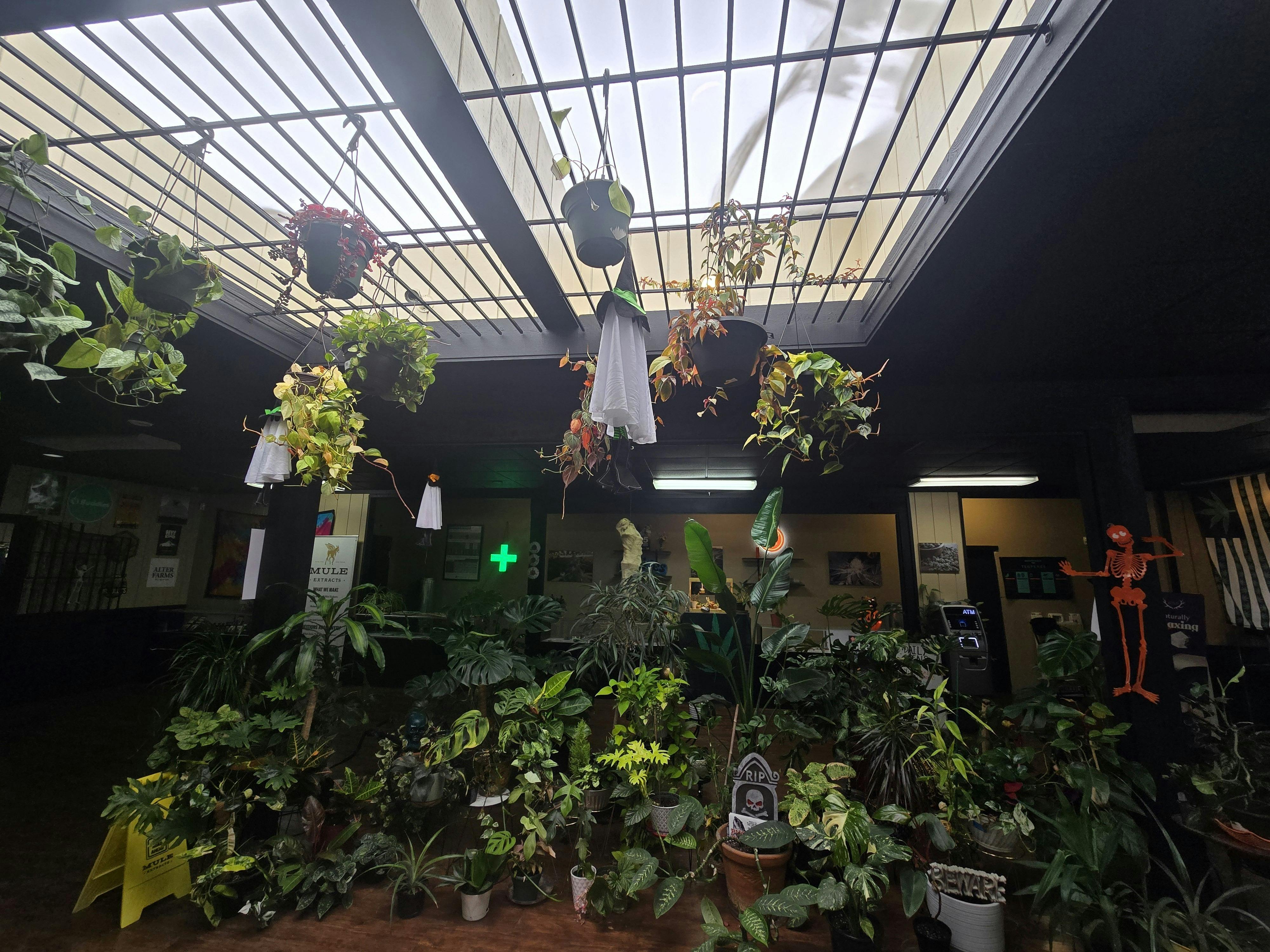 Southern Oregon Cannabis Connection listing banner