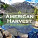 American Harvest