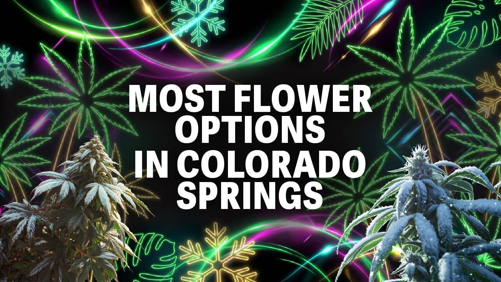 The Chronic Boutique - Pikes Peak listing banner