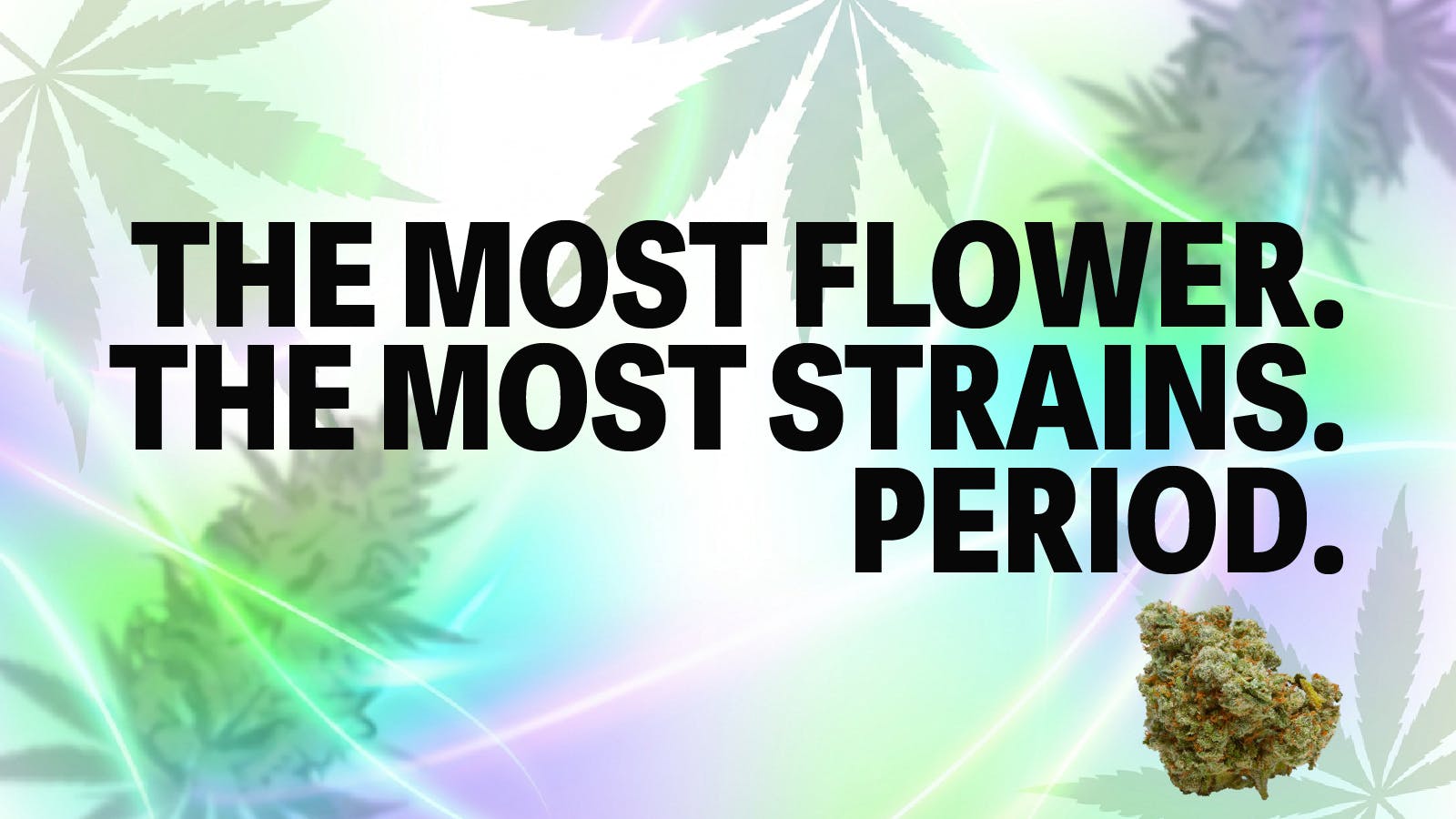 The Chronic Boutique - Pikes Peak listing banner