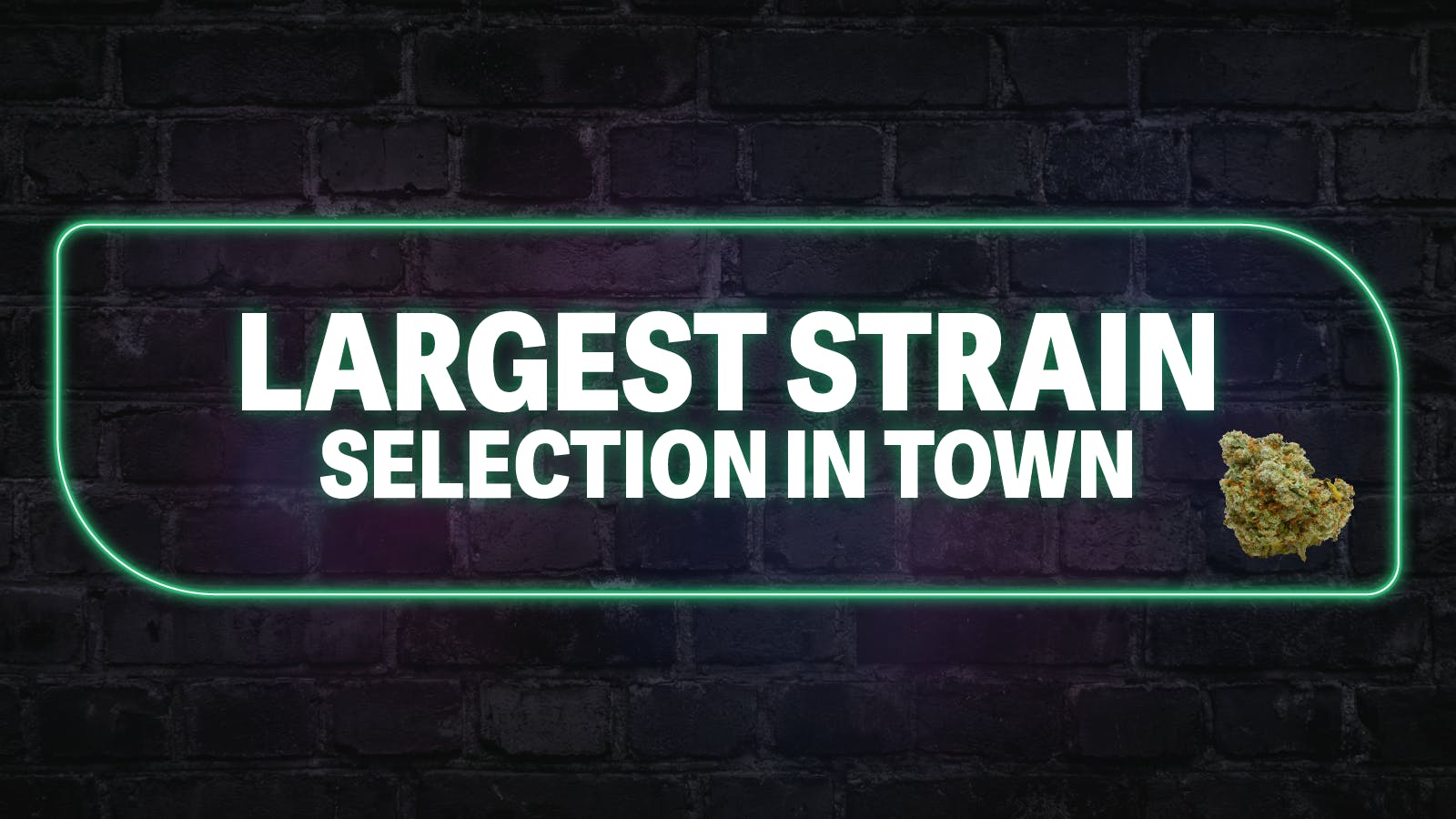 The Chronic Boutique - Pikes Peak listing banner