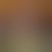 BigFeets formerly Curbstone Exchange