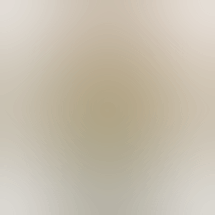 Hill & Bog Cannabis Company