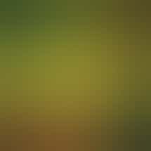 Rocky Mountain Blaze Recreational