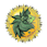 Green Lion - Clackamas