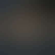 Xzibit’s West Coast Cannabis Dispensary - Chatsworth