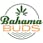 Bahama Buds - Coos Bay