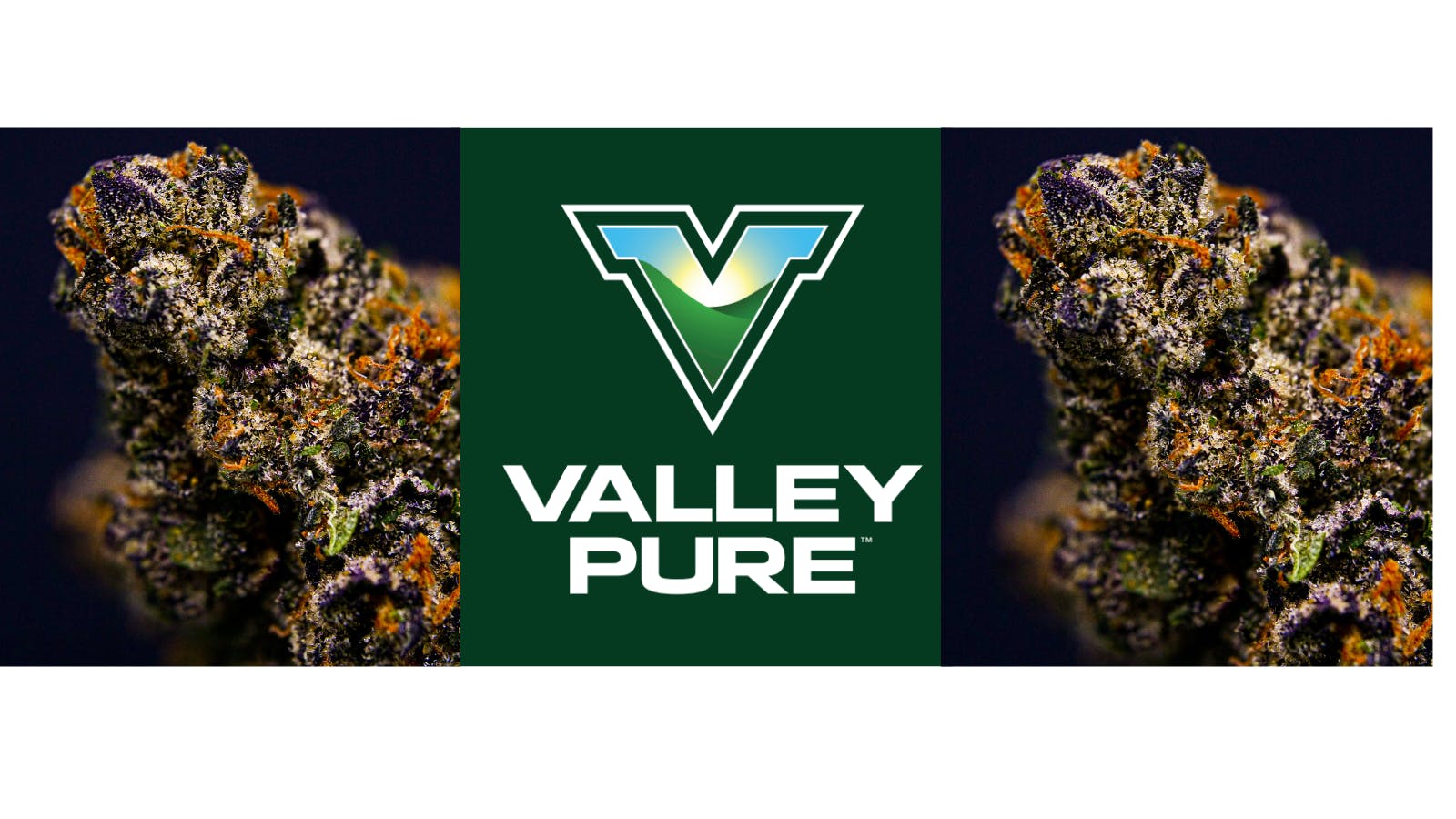 Valley Pure - Woodlake listing banner