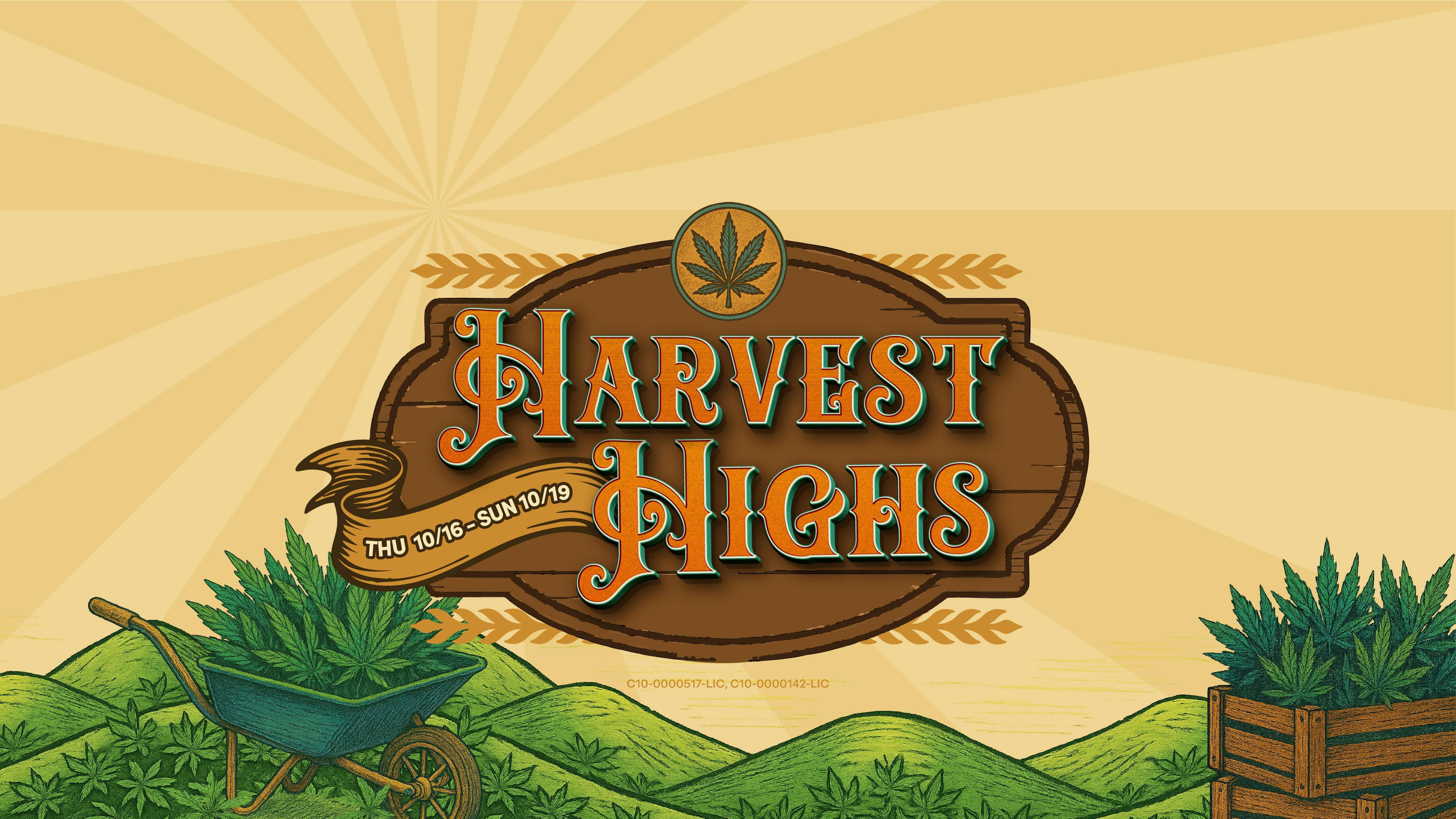 Higher Level - Seaside listing banner