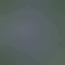 Elite Cannabis - Bay City