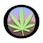 Ojai Cannabis Company
