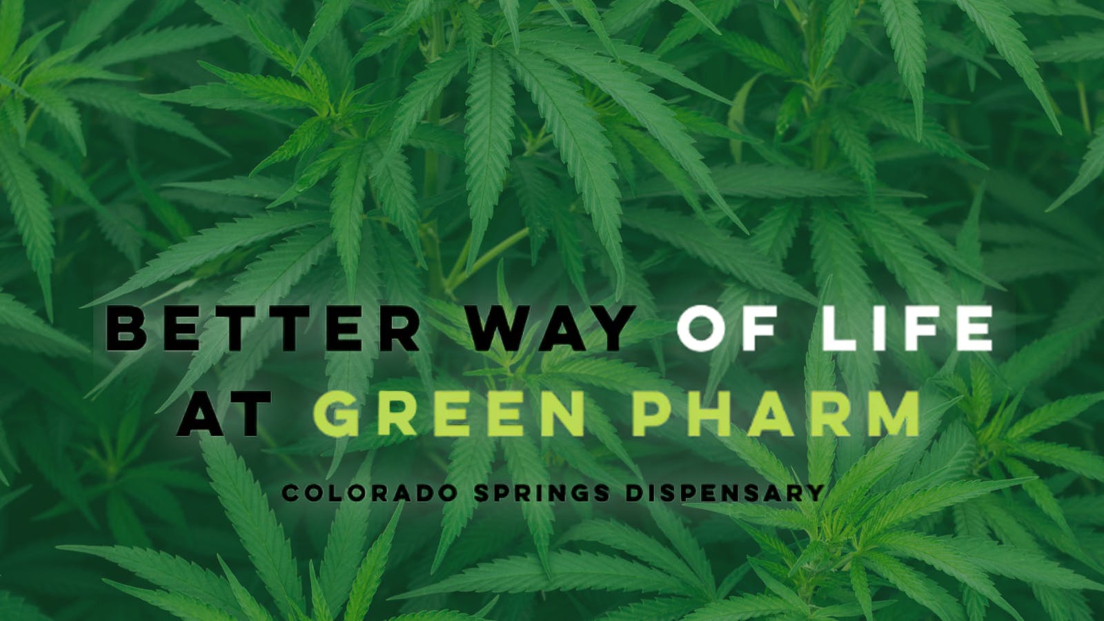 Green Pharm 2 listing banner