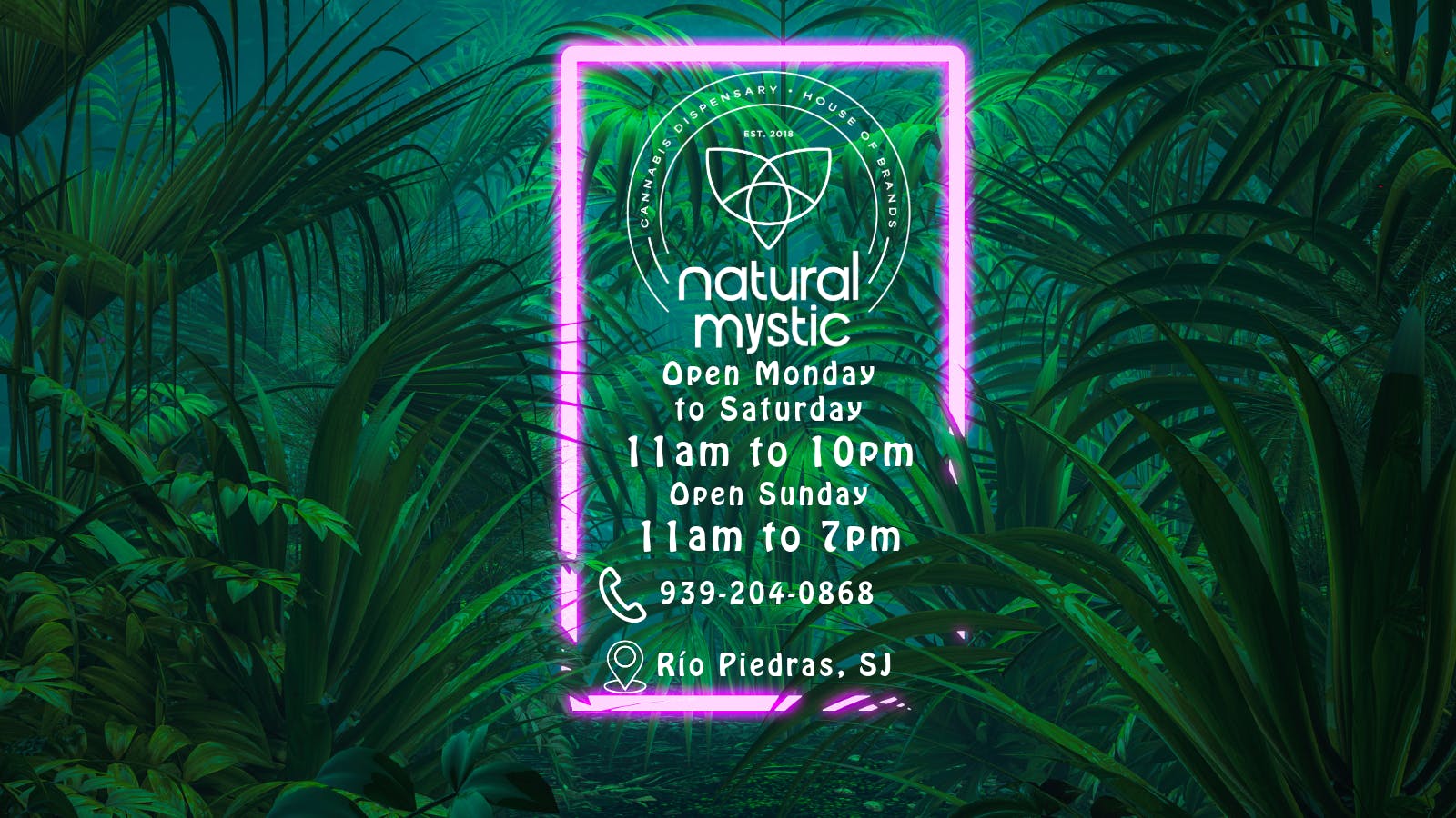Natural Mystic listing banner