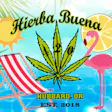 Hierba Buena