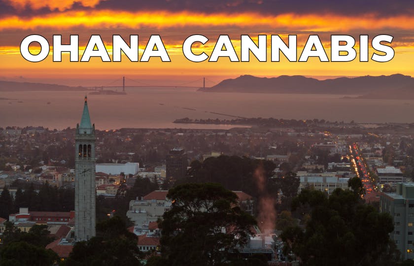 Ohana Cannabis listing banner