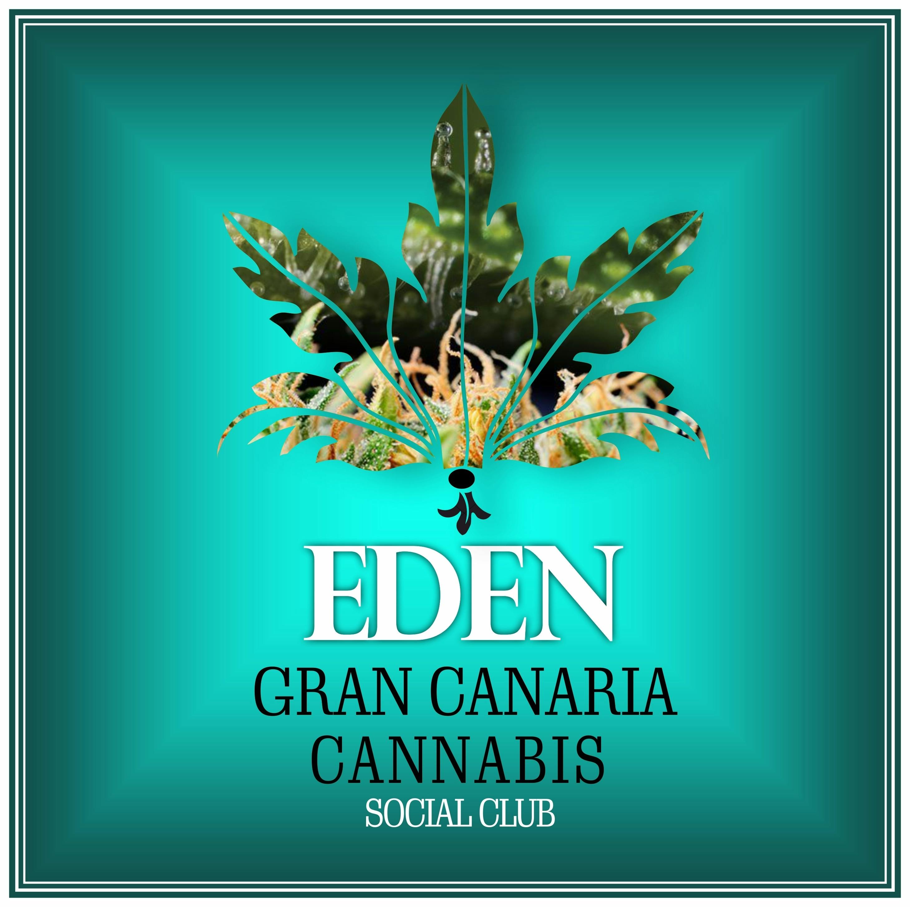 Eden Gran Canaria listing banner