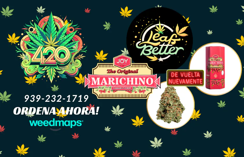 Leaf Better listing banner