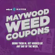 HAVEN Cannabis Marijuana and Weed Dispensary - Maywood