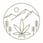 Wildwood Cannabis