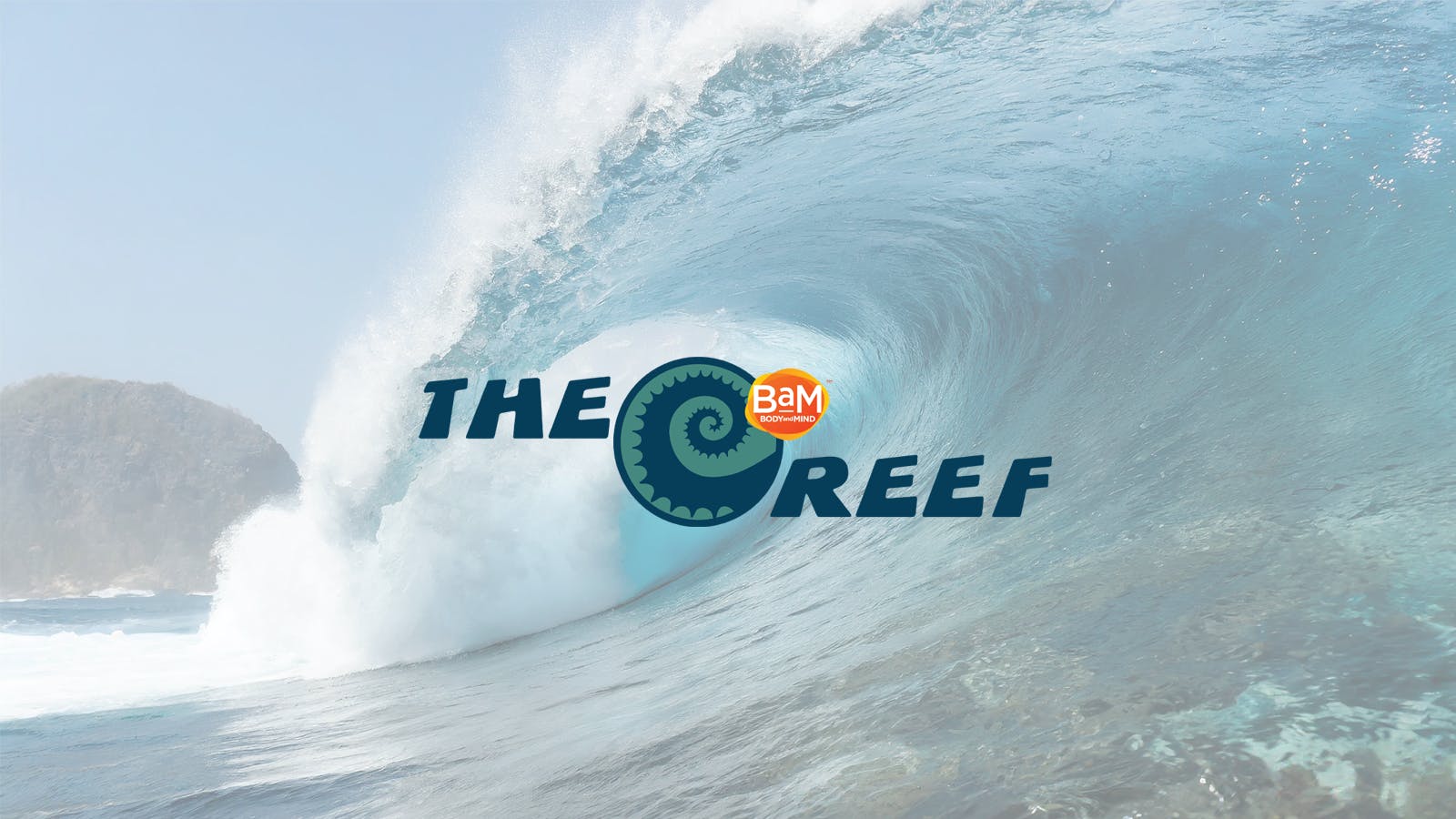 The Reef listing banner