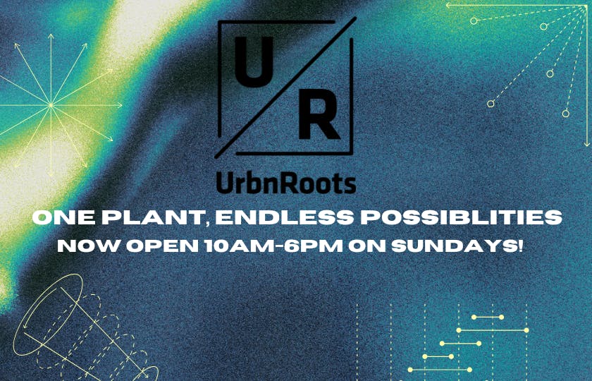 Urbn Roots - North listing banner
