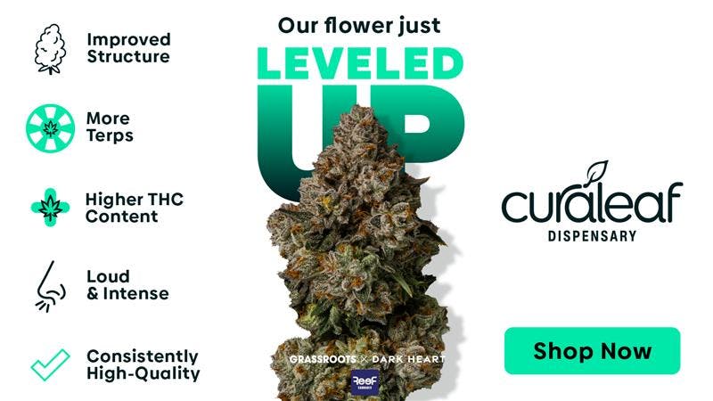 Curaleaf - Lutz listing banner